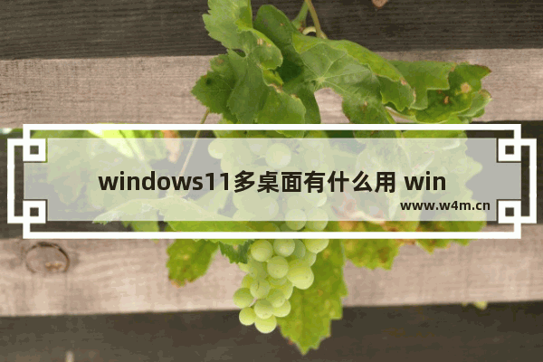 windows11多桌面有什么用 windows11多桌面怎么用