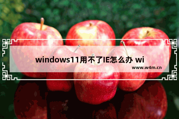 windows11用不了IE怎么办 windows11用不了IE解决方法