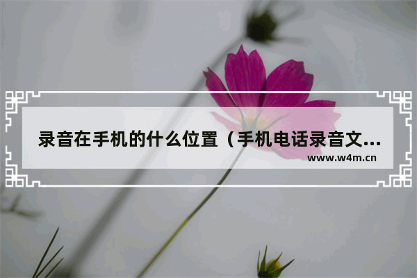 录音在手机的什么位置（手机电话录音文件夹路径）