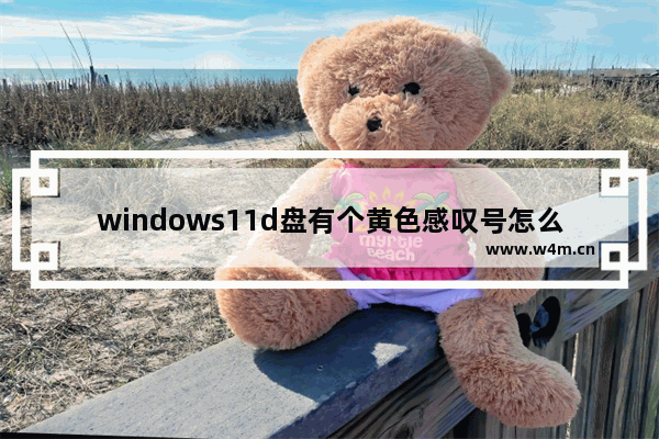 windows11d盘有个黄色感叹号怎么办 windows11d盘有个黄色感叹号解决教程