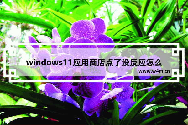 windows11应用商店点了没反应怎么办 windows11应用商店点了没反应解决教程