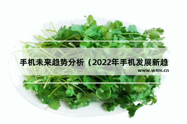 手机未来趋势分析（2022年手机发展新趋势）