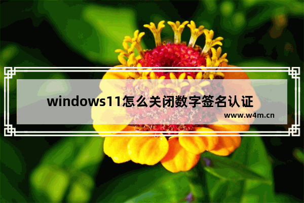 windows11怎么关闭数字签名认证 windows11关闭数字签名认证方法