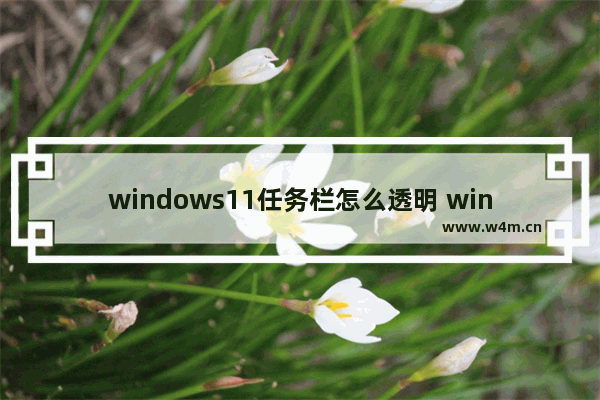 windows11任务栏怎么透明 windows11任务栏透明设置方法