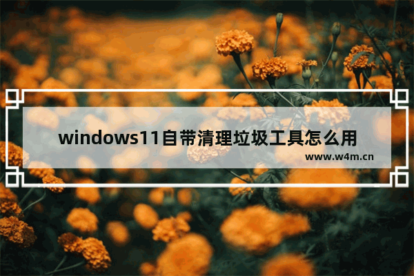 windows11自带清理垃圾工具怎么用 windows11自带清理垃圾工具使用方法