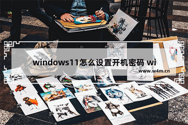 windows11怎么设置开机密码 windows11设置开机密码的方法