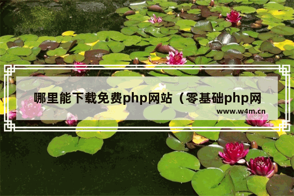 哪里能下载免费php网站（零基础php网站搭建教程）