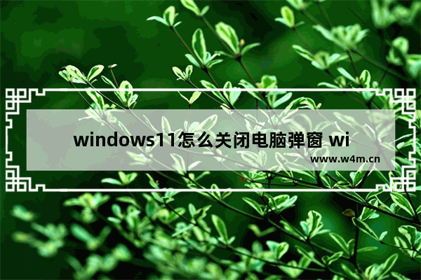 windows11怎么关闭电脑弹窗 windows11关闭弹窗操作教程