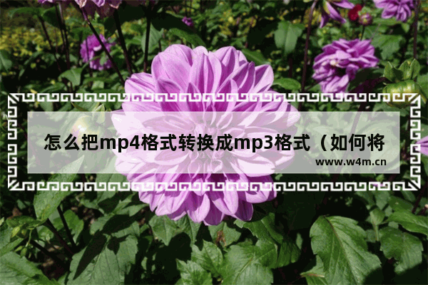 怎么把mp4格式转换成mp3格式（如何将mp4转为mp3音频）