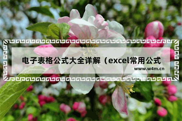 电子表格公式大全详解（excel常用公式动图演示）