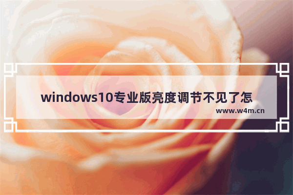 windows10专业版亮度调节不见了怎么办 windows10专业版亮度调节不见了恢复方法