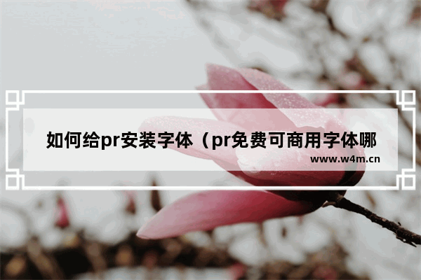 如何给pr安装字体（pr免费可商用字体哪里找）