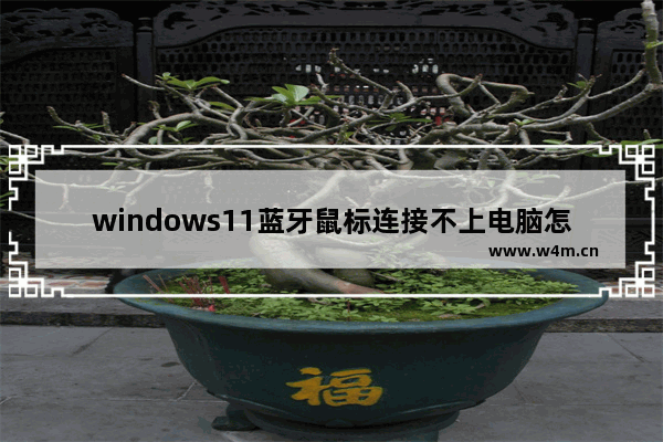 windows11蓝牙鼠标连接不上电脑怎么办 windows11蓝牙鼠标连接不上电脑解决方法