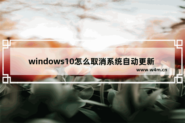 windows10怎么取消系统自动更新 windows10如何取消系统自动更新