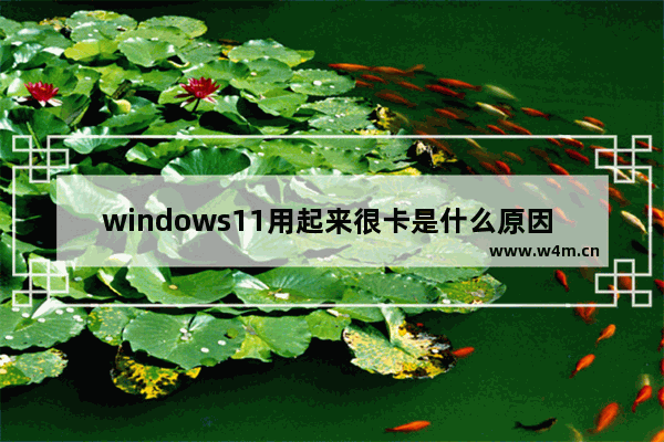 windows11用起来很卡是什么原因 windows11用起来很卡解决方法