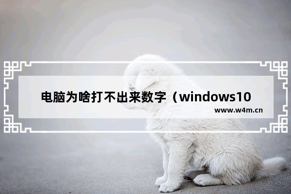 电脑为啥打不出来数字（windows10只能打出字母不能打汉字怎么办）