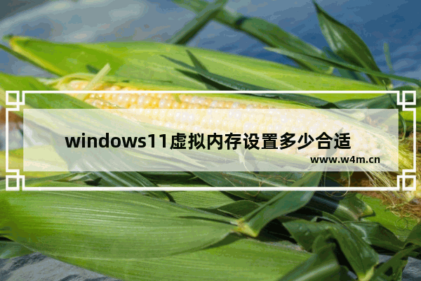 windows11虚拟内存设置多少合适 windows11虚拟内存设置在哪个盘