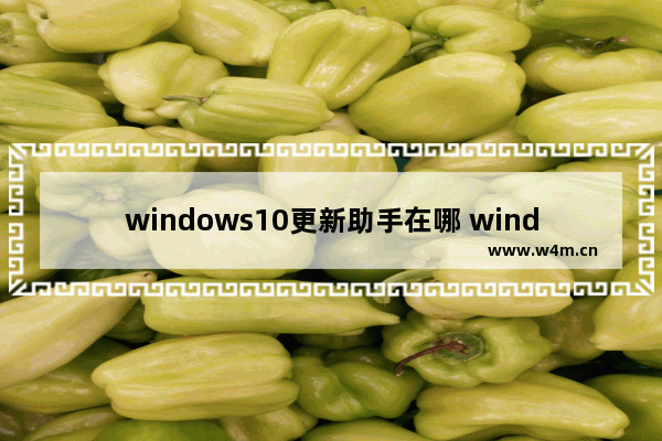 windows10更新助手在哪 windows10更新助手使用方法