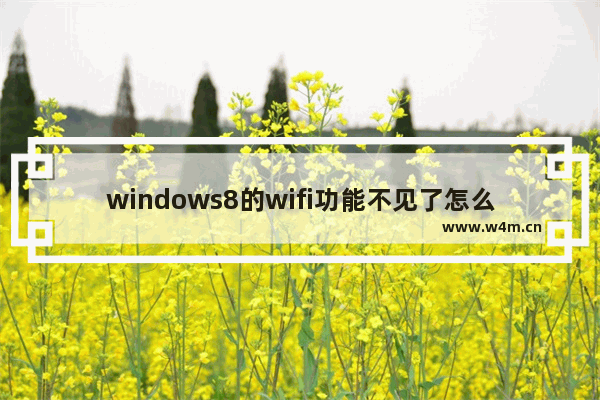 windows8的wifi功能不见了怎么办 windows8的wifi功能不见了解决办法