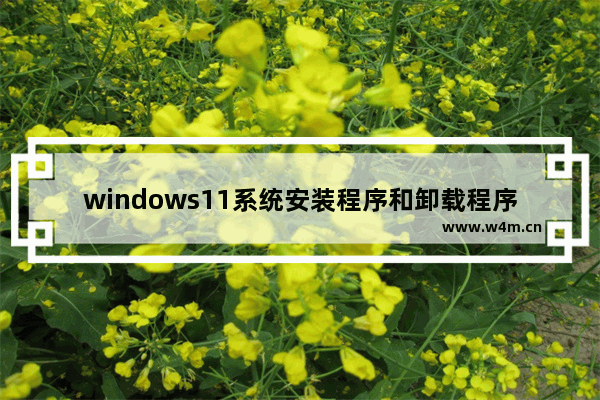 windows11系统安装程序和卸载程序怎么操作 windows11系统安装程序和卸载程序操作方法教学