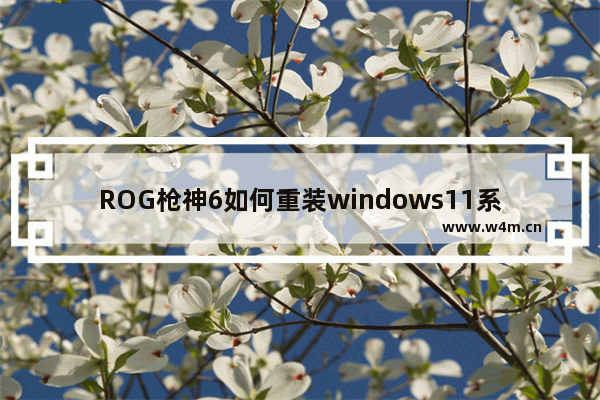 ROG枪神6如何重装windows11系统 ROG枪神6重装系统windows11的教程