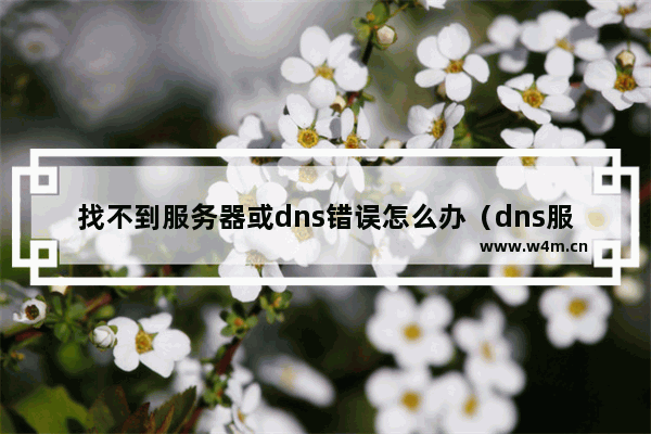 找不到服务器或dns错误怎么办（dns服务器不可用解决办法）