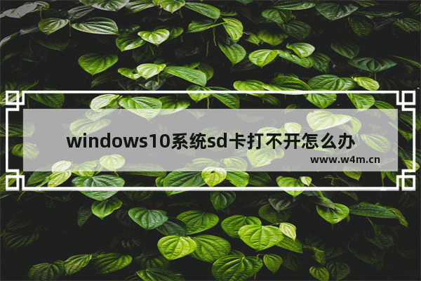 windows10系统sd卡打不开怎么办 windows10系统sd卡打不开解决方法