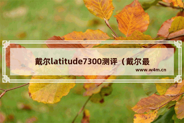 戴尔latitude7300测评（戴尔最新latitude系列笔记本怎么样）