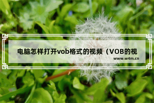 电脑怎样打开vob格式的视频（VOB的视频格式如何正常打开播放）