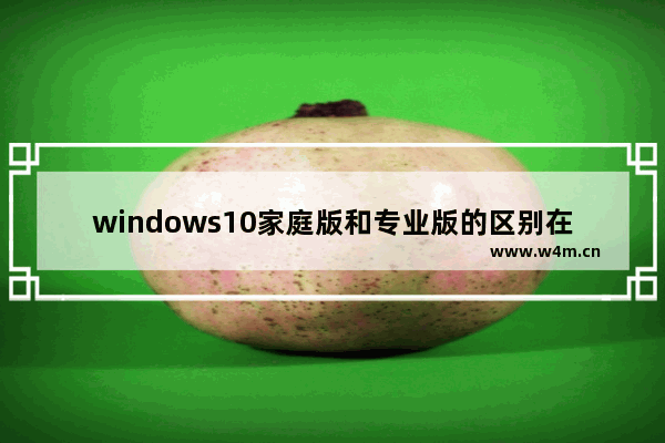 windows10家庭版和专业版的区别在哪里 windows10家庭版和专业版的区别