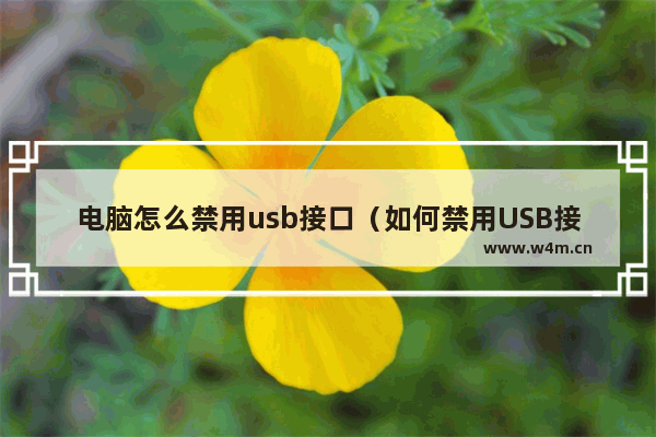 电脑怎么禁用usb接口（如何禁用USB接口）