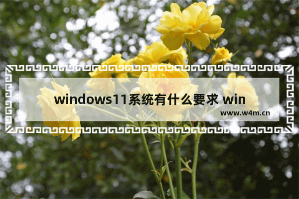 windows11系统有什么要求 windows11系统最低配置要求是什么