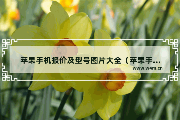 苹果手机报价及型号图片大全（苹果手机怎么选）