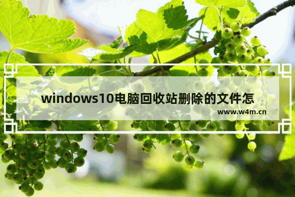 windows10电脑回收站删除的文件怎么恢复 回收站删除的文件怎么恢复windows10