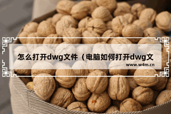 怎么打开dwg文件（电脑如何打开dwg文件图纸）