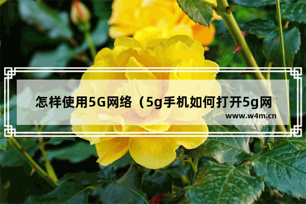 怎样使用5G网络（5g手机如何打开5g网络）