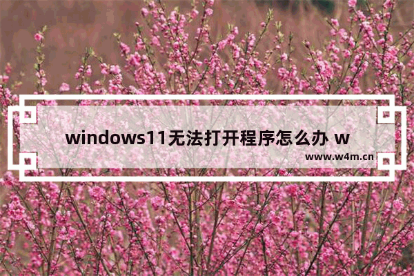 windows11无法打开程序怎么办 windows11无法打开程序解决方法