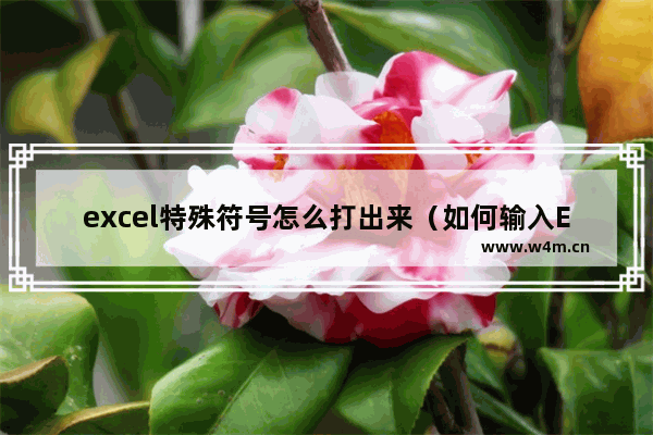 excel特殊符号怎么打出来（如何输入Excel特殊符号）