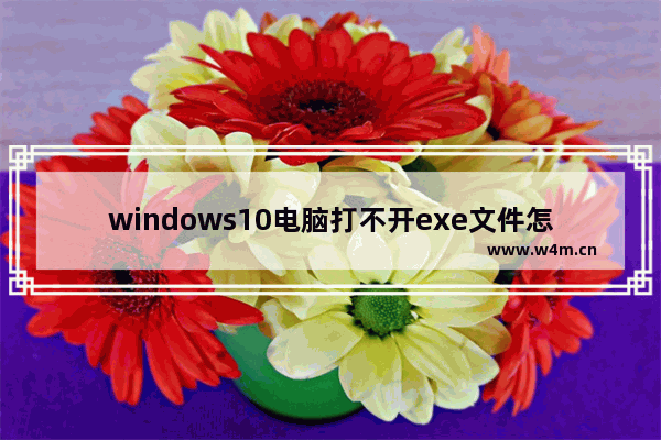 windows10电脑打不开exe文件怎么解决 windows10系统打不开exe文件怎么办解决方法