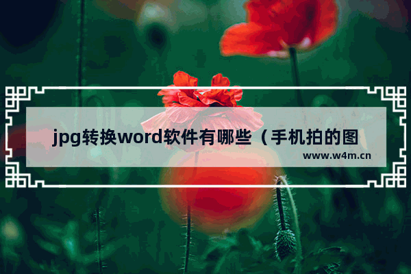 jpg转换word软件有哪些（手机拍的图片怎么转换成Word文档）