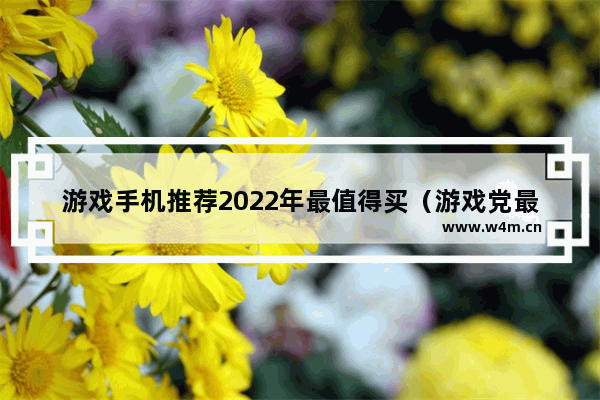 游戏手机推荐2022年最值得买（游戏党最爱的三台高性能手机）