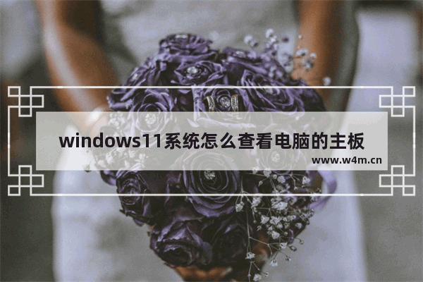 windows11系统怎么查看电脑的主板信息 windows11查看电脑主板信息教学