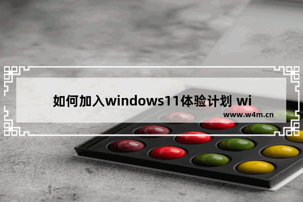 如何加入windows11体验计划 windows11体验计划加入方法分享