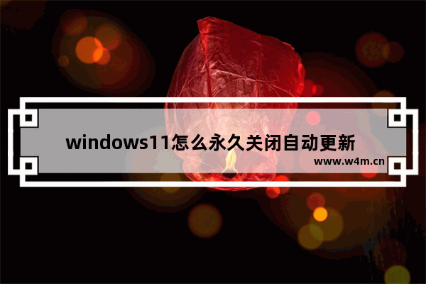 windows11怎么永久关闭自动更新 windows11如何永久关闭自动更新