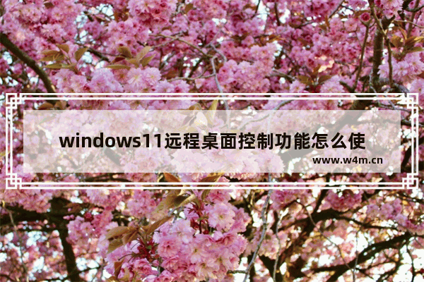 windows11远程桌面控制功能怎么使用 windows11远程桌面控制功能如何使用