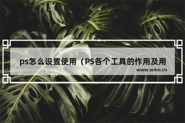 ps怎么设置使用（PS各个工具的作用及用法）