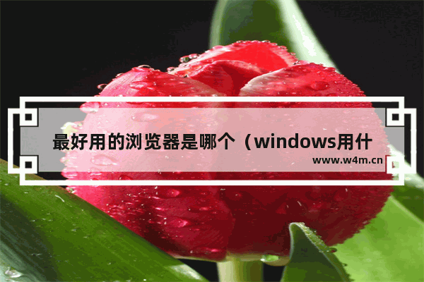 最好用的浏览器是哪个（windows用什么浏览器比较好）