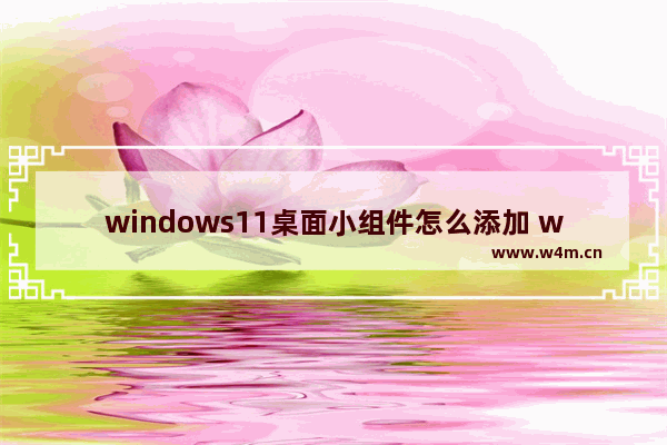 windows11桌面小组件怎么添加 windows11桌面小组件添加教程