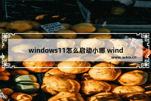 windows11怎么启动小娜 windows11小娜在哪