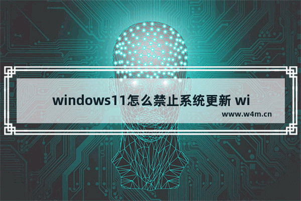 windows11怎么禁止系统更新 windows11禁止系统更新的方法